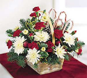 Mon Dec 21 Candy Cane Basket 261221101